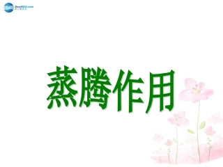 七年级生物上册 第5章 第4节 蒸腾作用课件2 北师大版教材