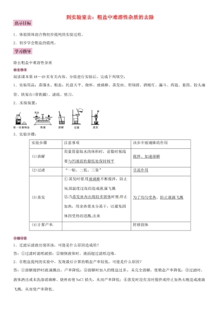 九年级化学下册 第八单元 海水中的化学 到实验室去 粗盐中难溶性杂质的去除学案 （新版）鲁教版-（新版）鲁教版初中九年级下册化学学案