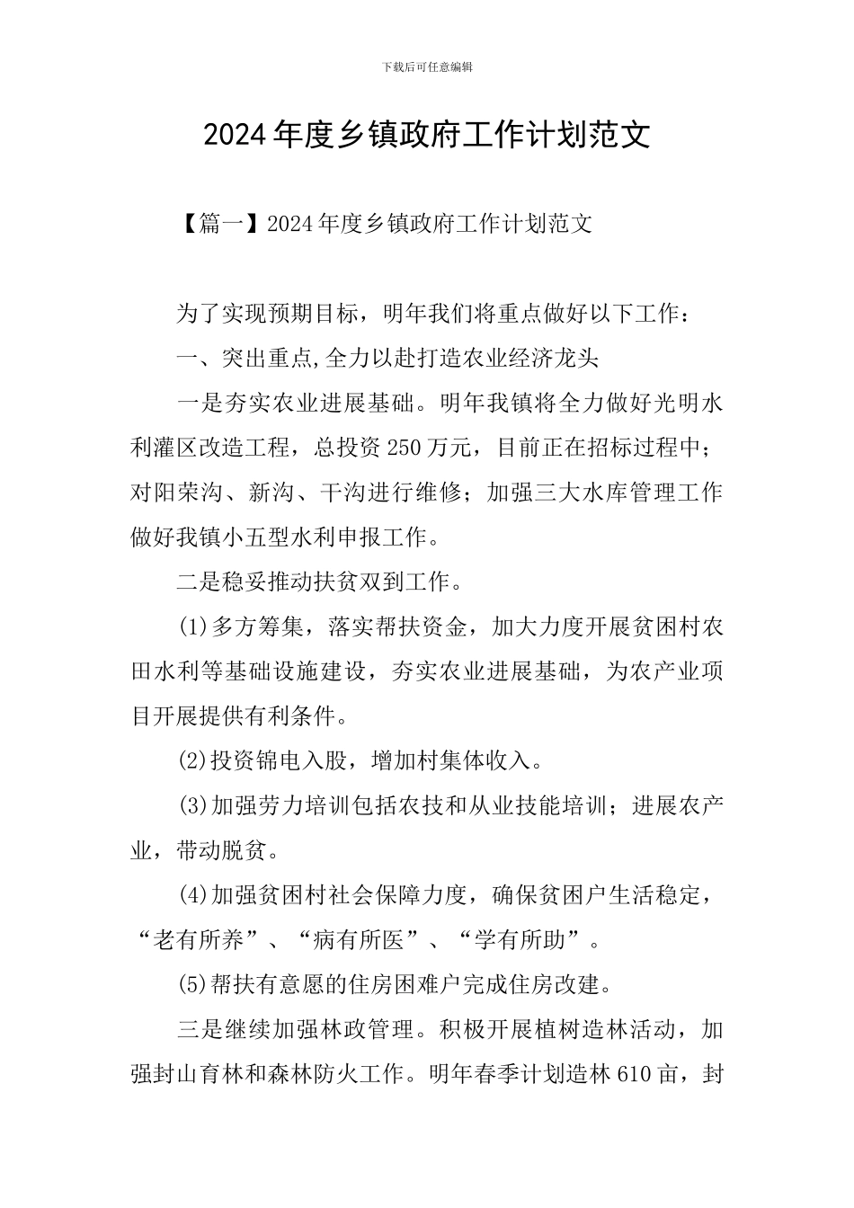 2024年度乡镇政府工作计划范文_第1页