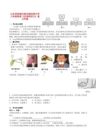 山东省肥城市湖屯镇初级中学八年级物理《压强和浮力》复习学案
