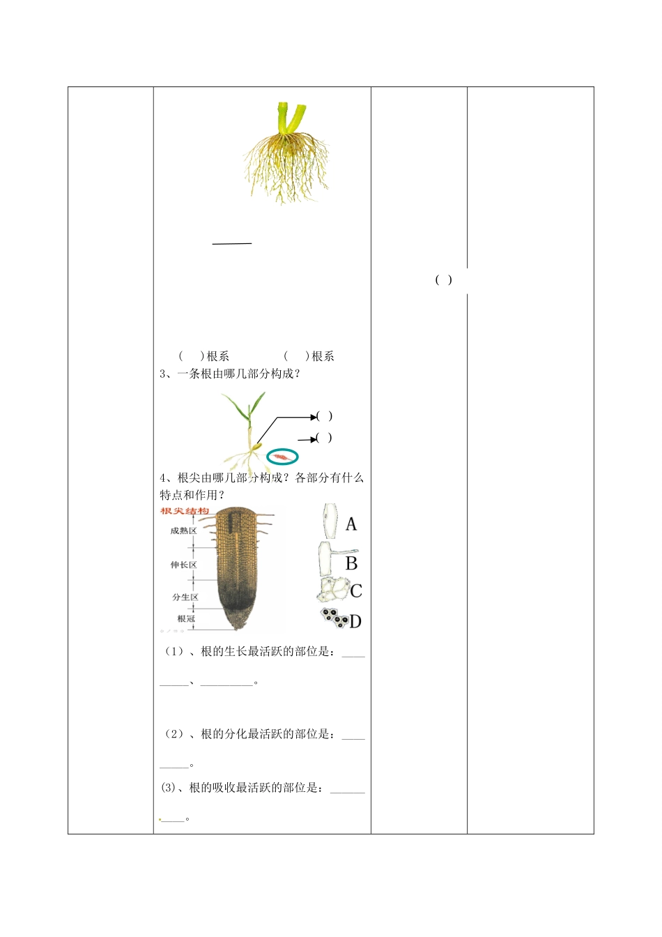 2014年秋八年级生物上册 第4单元 第1章 第4节 种子的萌发（第二课时）教案 （新版）济南版_第2页