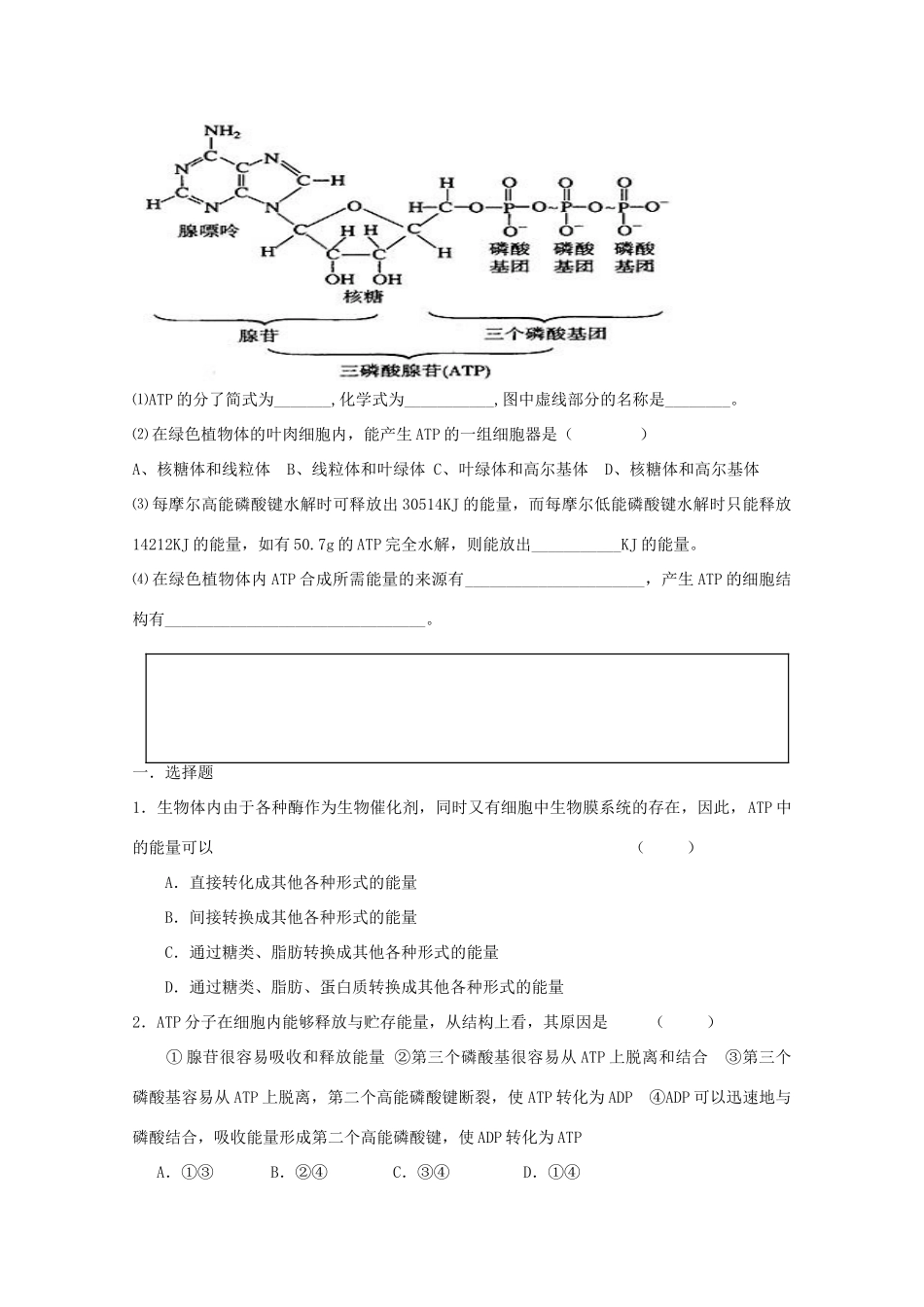 江苏省盐城市射阳二中高一生物《细胞的能量“通货”──ATP》教学案_第3页