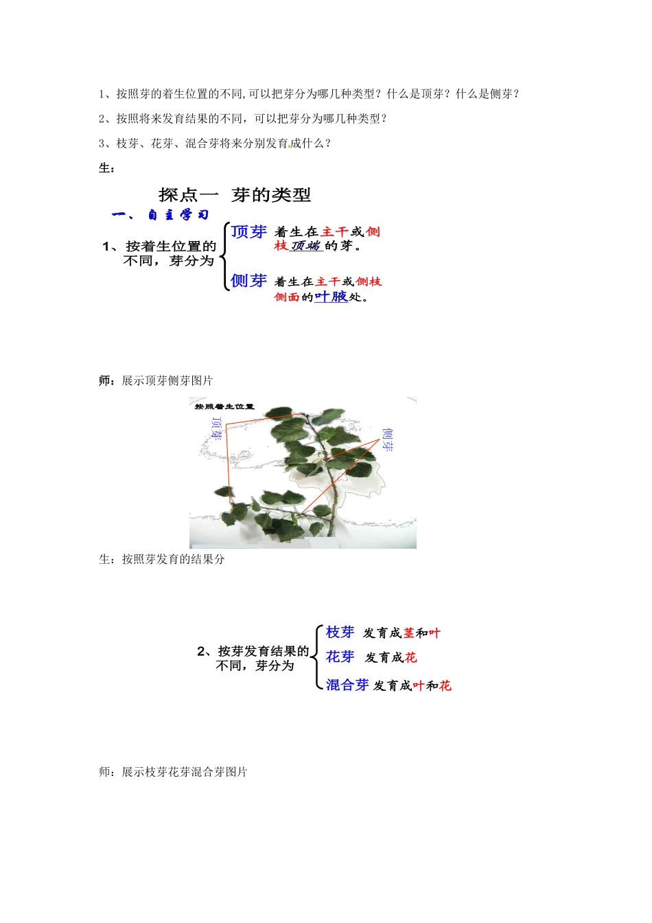 2014年秋八年级生物上册 第4单元 第1章 第5节 根的结构与功能教案2 （新版）济南版_第2页
