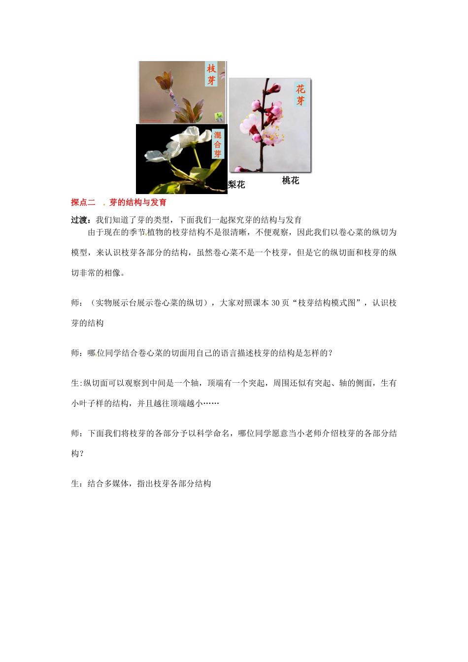 2014年秋八年级生物上册 第4单元 第1章 第5节 根的结构与功能教案2 （新版）济南版_第3页