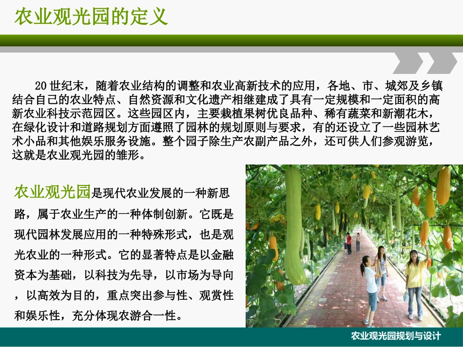 大型农业观光园规划设计_第3页