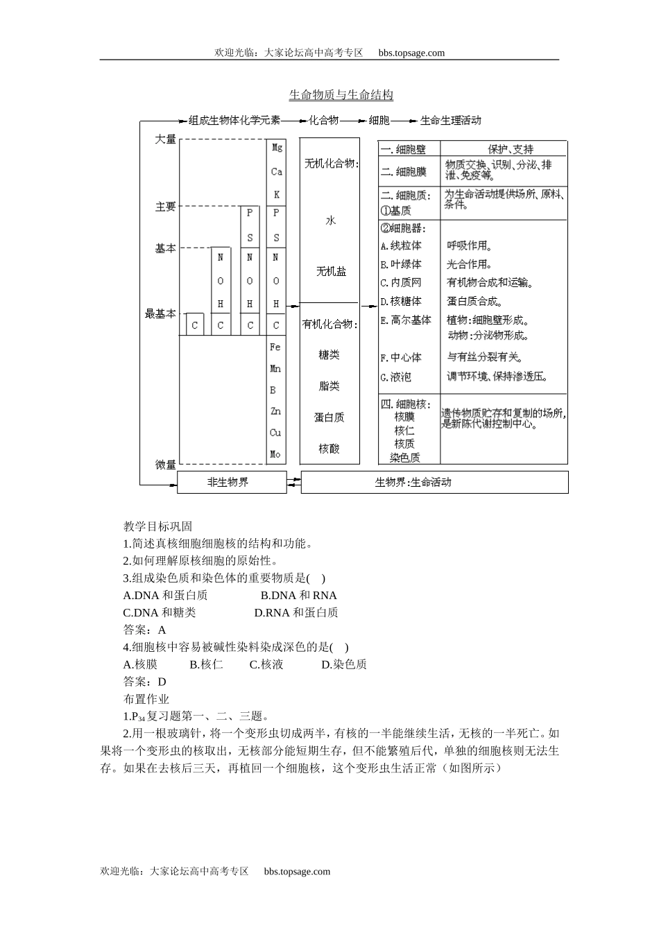 人教版高中一年级生物精品资源-示范教案一(2.1.3细胞核的结构和功能)_第3页