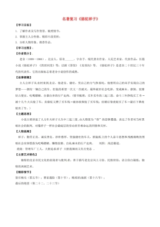 九年级语文名著复习指南 骆驼祥子学案-人教版初中九年级全册语文学案