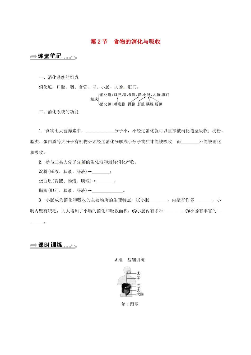 九年级科学上册 4.2 食物的消化与吸收学案2 （新版）浙教版-（新版）浙教版初中九年级上册自然科学学案_第1页
