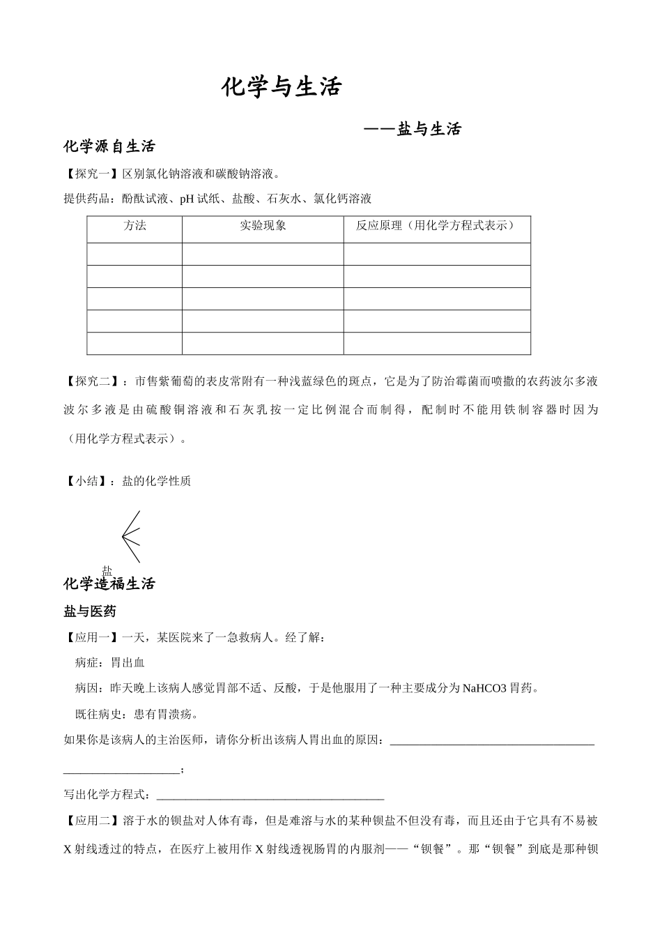 九年级化学与生活—盐的复习学案_第1页