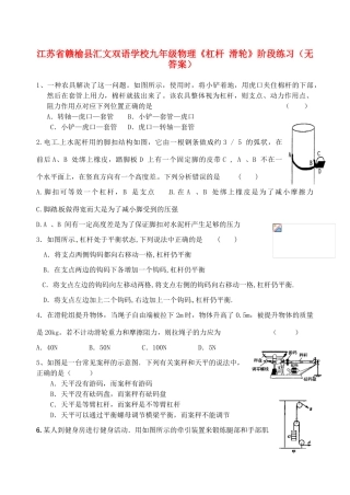 江苏省赣榆县汇文双语学校九年级物理《杠杆 滑轮》阶段练习（无答案）