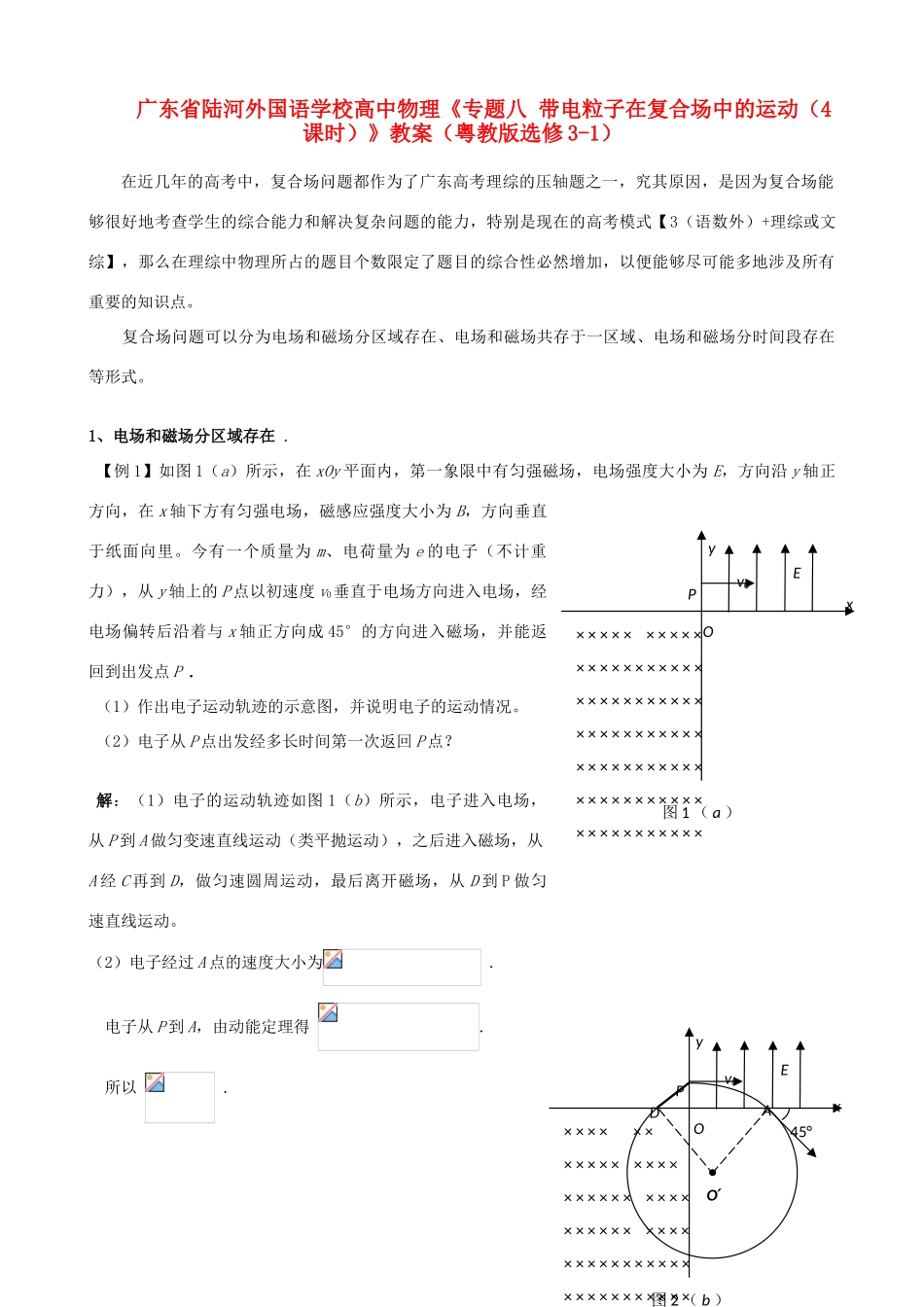 广东省陆河外国语学校高中物理《专题八 带电粒子在复合场中的运动（4课时）》教案 粤教版选修3-1_第1页