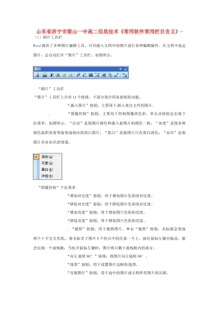 山东省济宁市梁山一中高二信息技术《常用软件常用栏目含义》