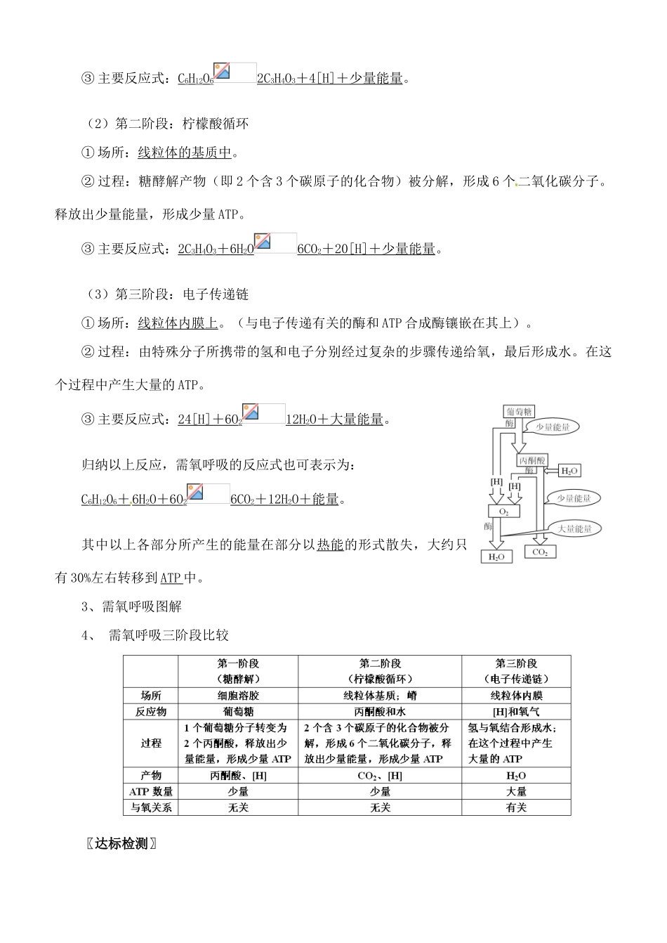 浙江省临海市白云高级中学高一生物 3.4 细胞呼吸 教案_第3页