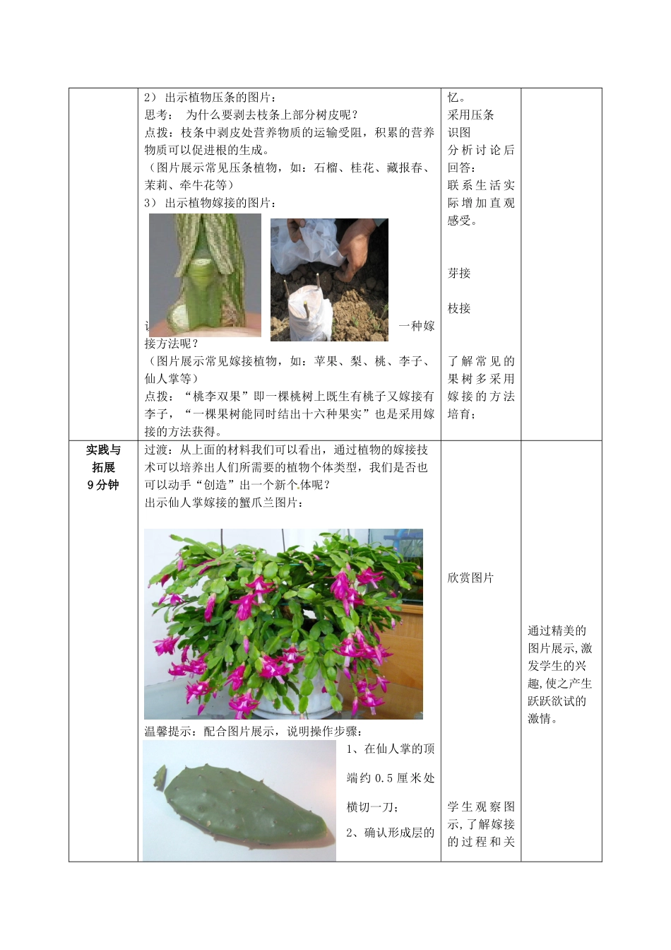 2014年秋八年级生物上册 第4单元 第1章 第7节 植物的营养生殖教案1 （新版）济南版_第3页