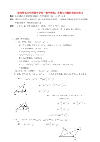 湖南师范大学附属中学高一数学 实数与向量的积综合练习教案