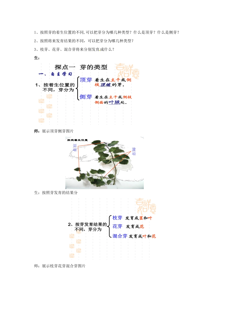 2014年秋八年级生物上册 第4单元 第1章 第6节 芽的类型和发育教案2 （新版）济南版_第2页