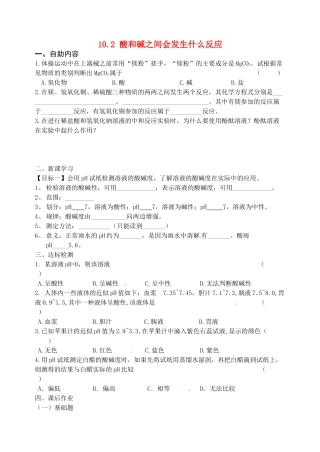 江苏省无锡地区九年级化学下册 10.2 酸和碱之间会发生什么反应（第2课时）学案（无答案） 新人教版