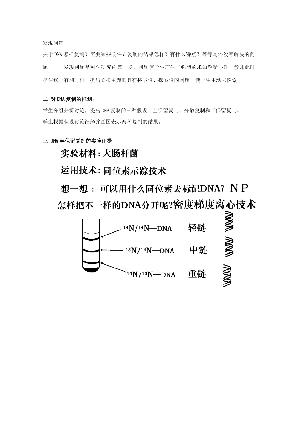 湖南省蓝山二中高一生物 第3章 第3节 DNA的复制教案_第2页