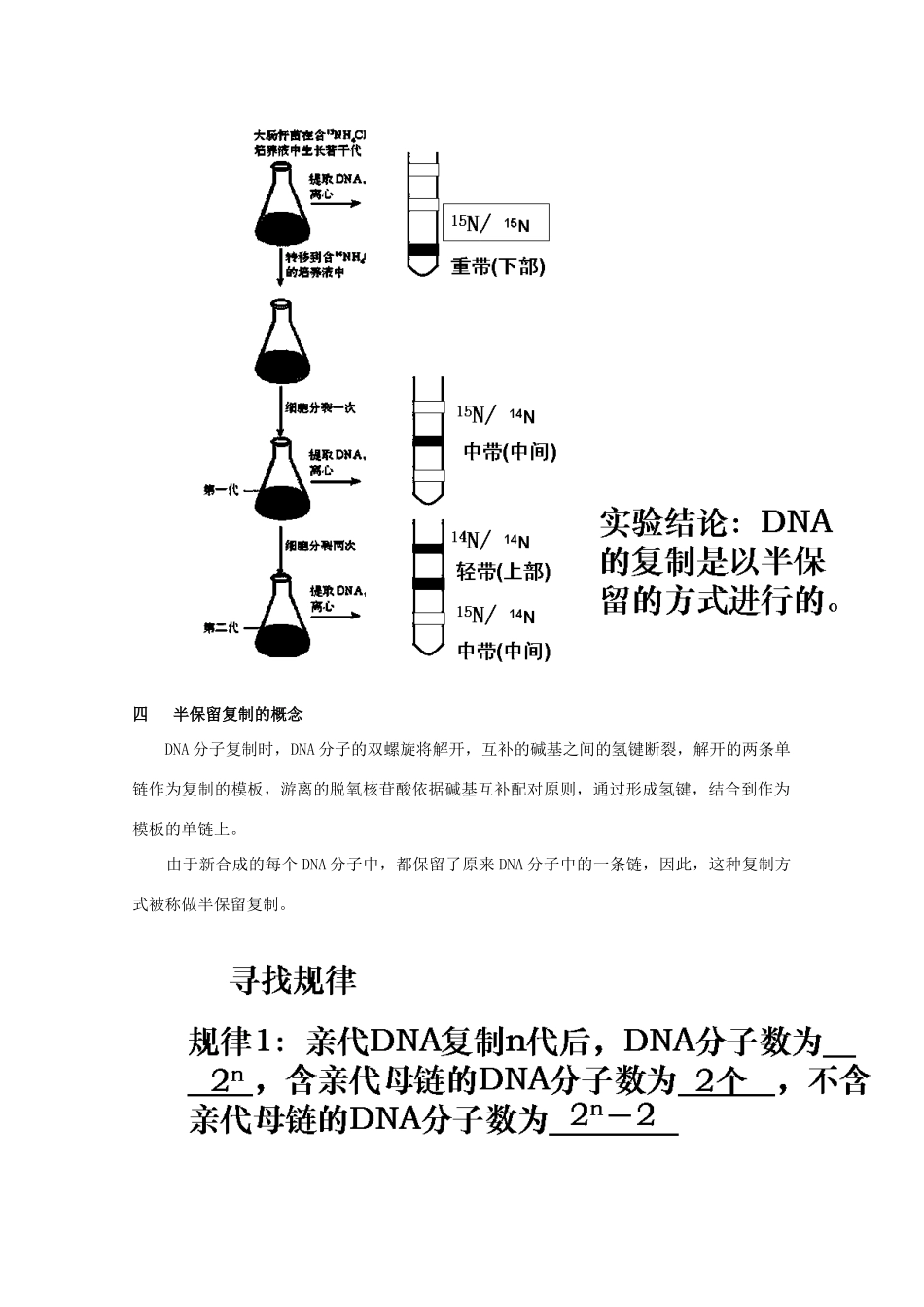 湖南省蓝山二中高一生物 第3章 第3节 DNA的复制教案_第3页