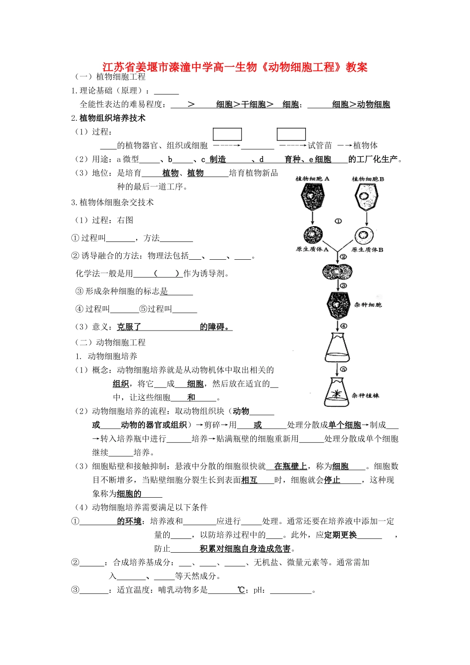 江苏省姜堰市溱潼中学高一生物《动物细胞工程》教案_第1页