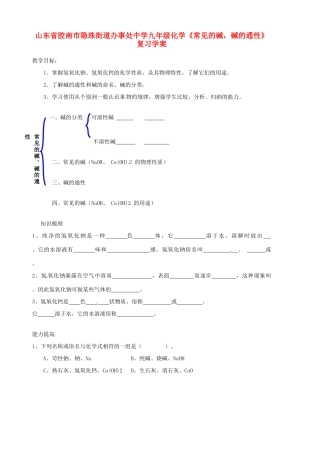 山东省胶南市隐珠街道办事处中学九年级化学《常见的碱，碱的通性》复习学案