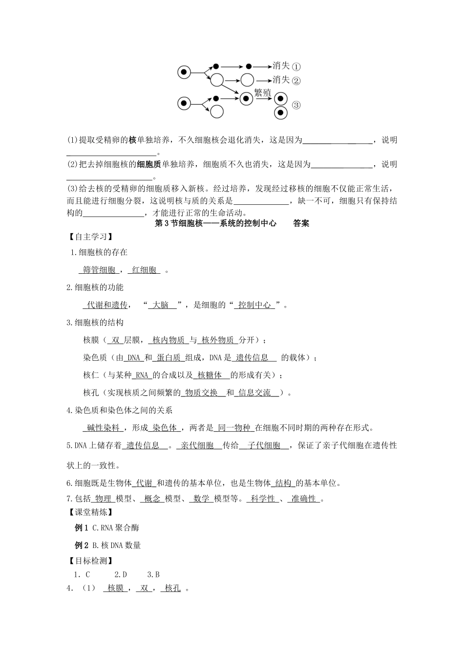 云南省德宏州梁河县第一中学高中生物 3.3细胞核 系统的控制中心教案1 新人教版必修1_第3页
