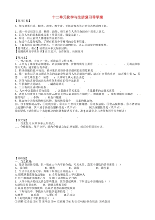 甘肃省玉门市花海中学九年级化学下册 第十二单元化学与生活复习导学案（无答案） 新人教版