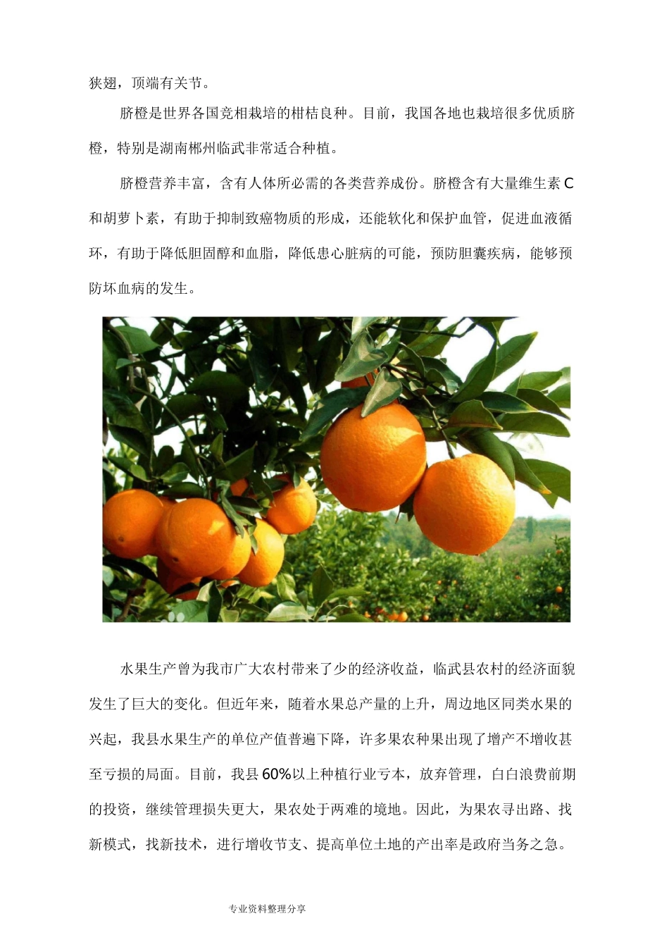 水肥一体化资金申请报告书_第3页