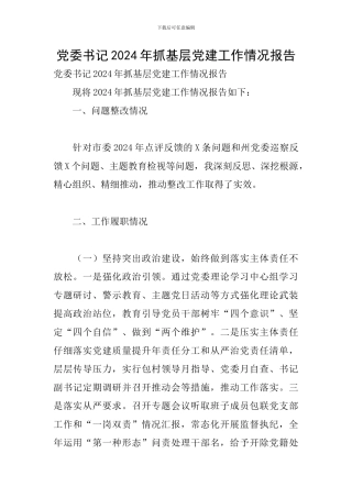 党委书记2024年抓基层党建工作情况报告