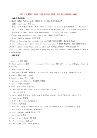 （水滴系列）八年级英语下学期期中复习 Unit 5 What were you doing when the rainstorm came学案 （新版）人教新目标版-（新版）人教新目标版初中八年级全册英语学案