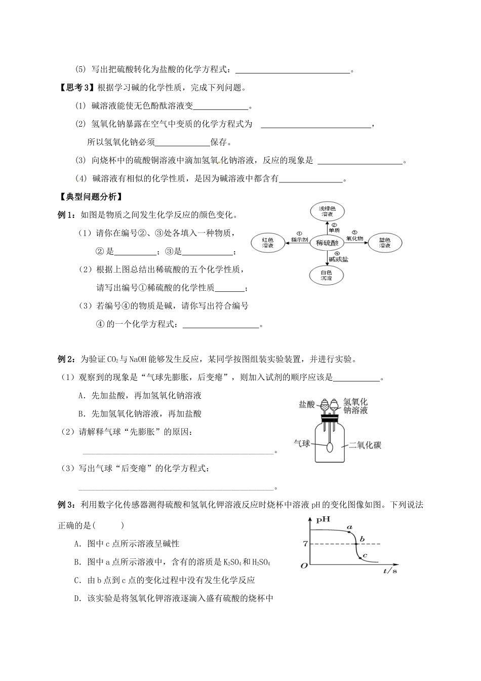 江苏省南通市海安县中考化学复习 第十讲 酸和碱学案-人教版初中九年级全册化学学案_第2页