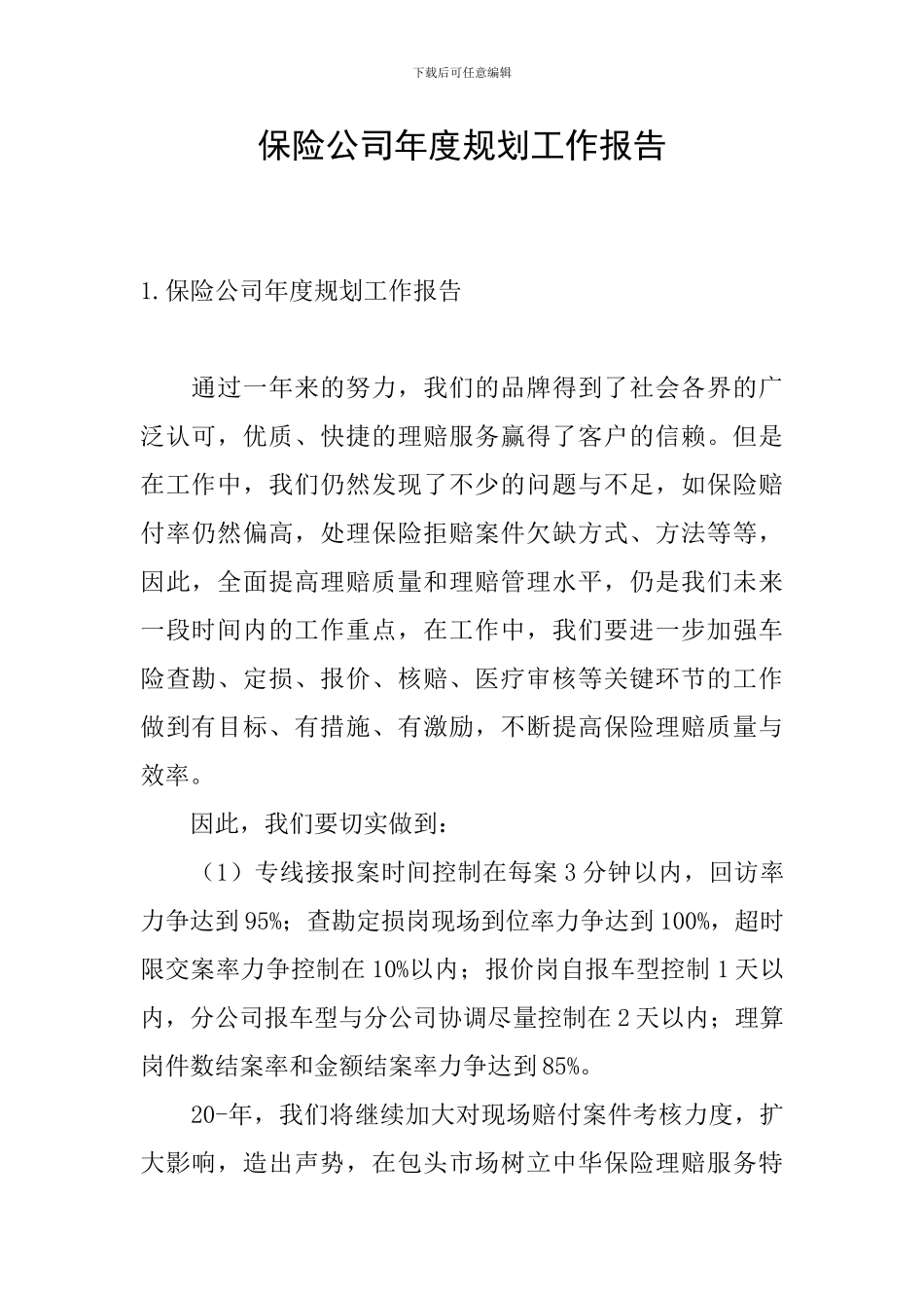 保险公司年度规划工作报告_第1页