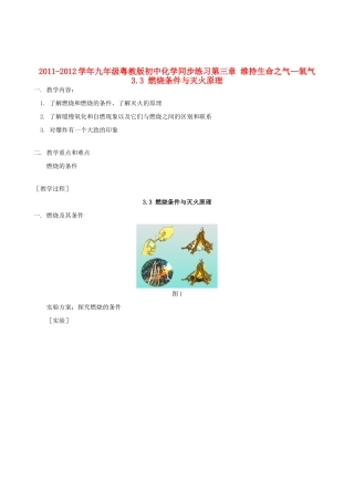 2011-2012学年九年级化学 3.3 燃烧条件与灭火原理教案  粤教版