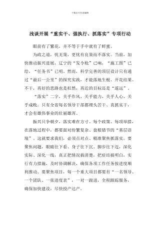 浅谈开展“重实干、强执行、抓落实”专项行动