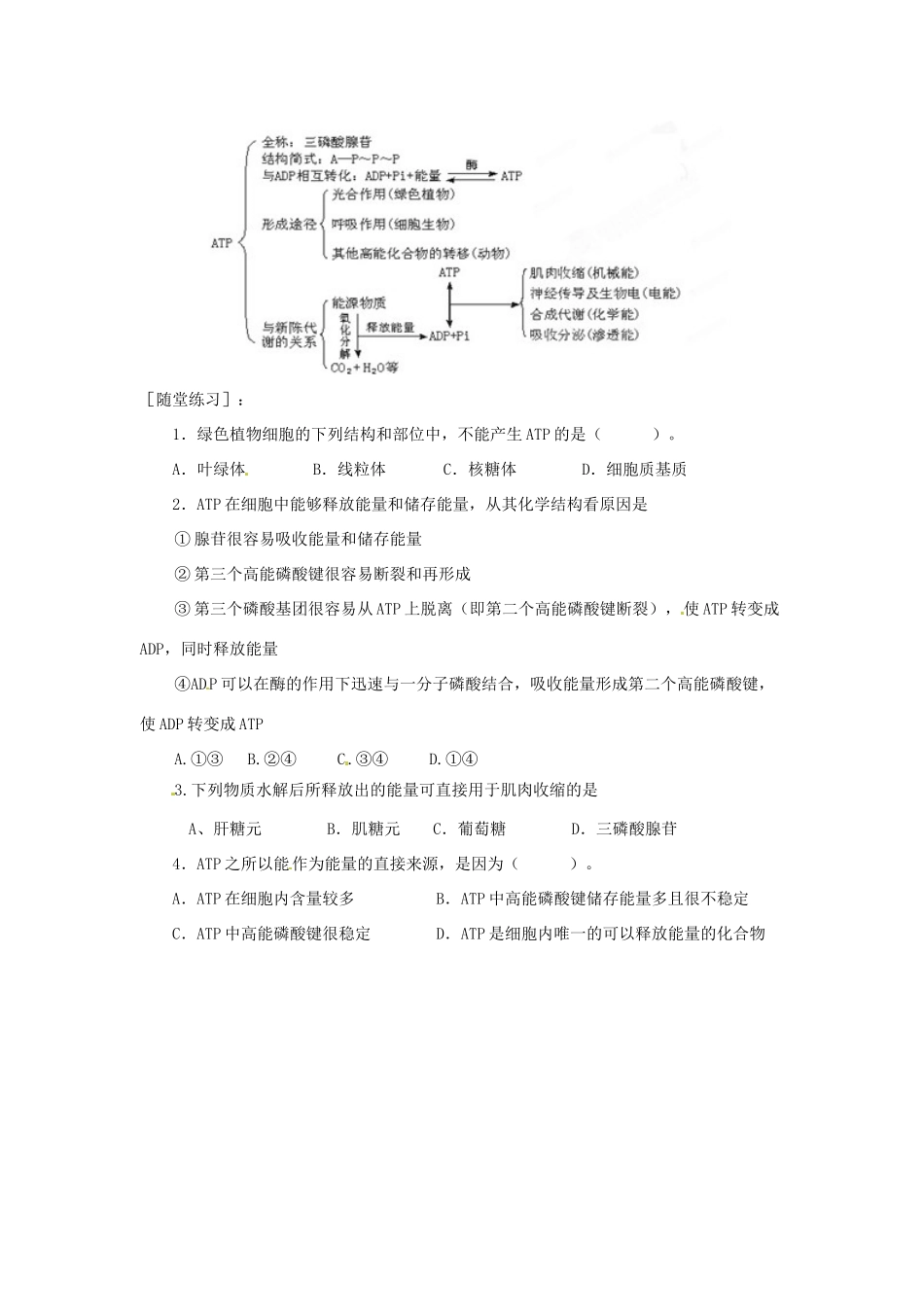 山西省芮城县风陵渡中学高一生物《细胞的能量“通货”ATP》教案 新人教版_第3页