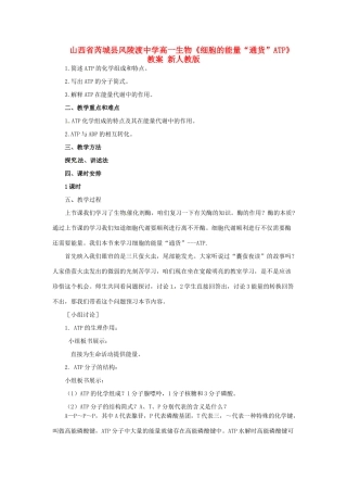 山西省芮城县风陵渡中学高一生物《细胞的能量“通货”ATP》教案 新人教版