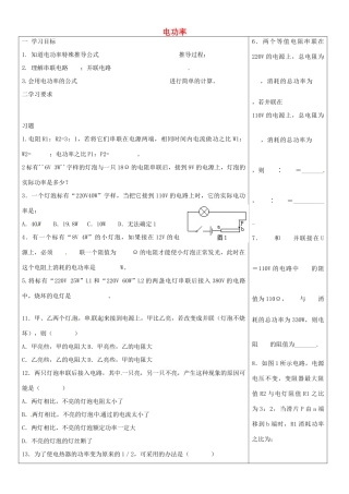 吉林省磐石市细林中学九年级物理 电功率复习导学案2（无答案）