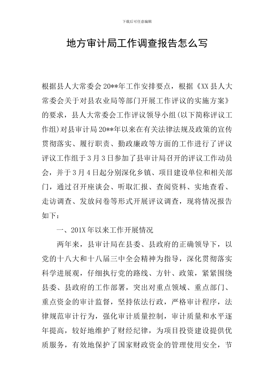 地方审计局工作调查报告怎么写_第1页