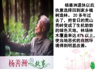 七年级生物上册 第7章 第2节 我国的植物资源课件1 北师大版教材