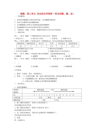 2013届九年级化学稳步提升复习教案17
