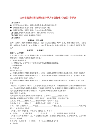山东省肥城市湖屯镇初级中学八年级物理《电荷》导学案
