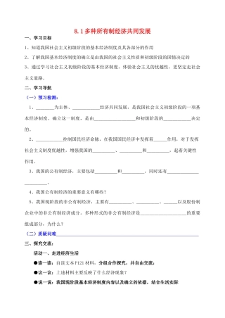 九年级政治全册 10.1 多种所有制经济共同发展导学案 苏教版