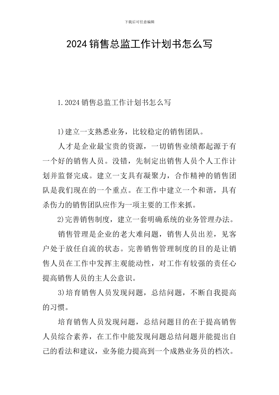 2024销售总监工作计划书怎么写_第1页