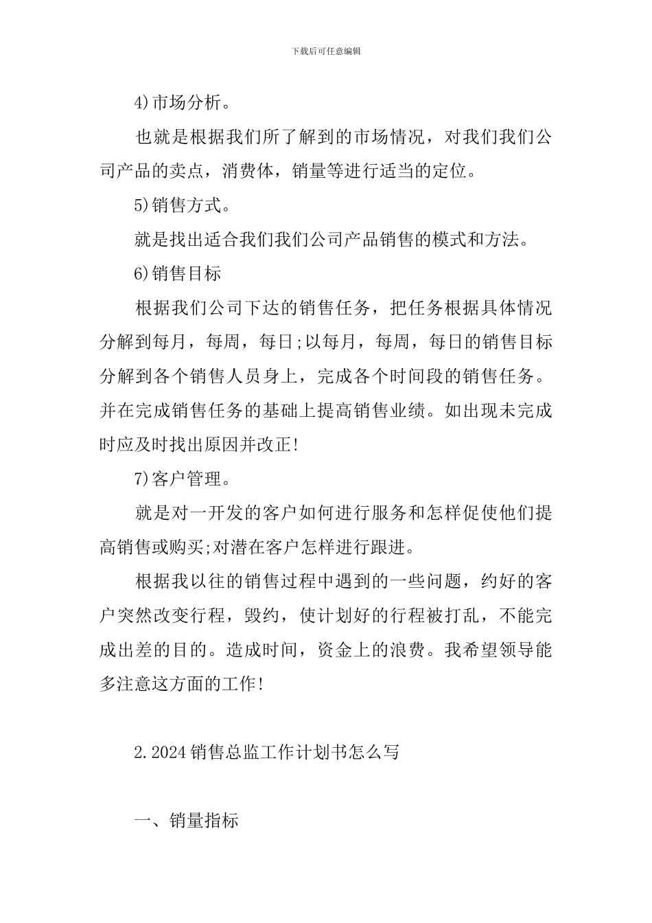 2024销售总监工作计划书怎么写_第2页
