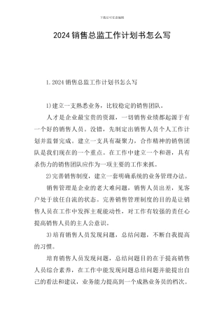 2024销售总监工作计划书怎么写