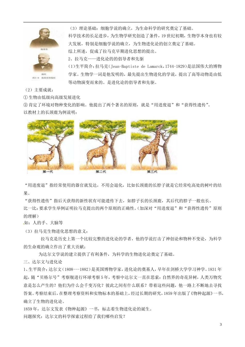 广东省陆河外国语学校高中历史《第12课 探索生命起源之谜》教案 新人教版必修3_第3页