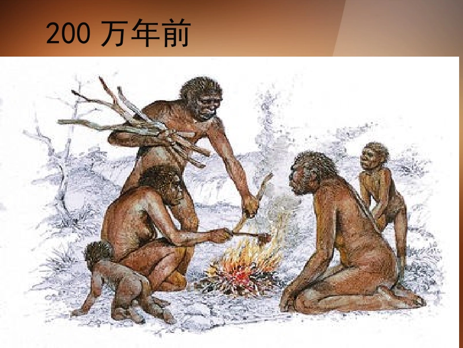 2013年秋九年级化学上册 第七单元 燃料及其利用 课题1 燃烧和灭火精品课件 （新版）新人教版_第2页