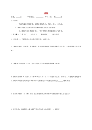 广西壮族自治区贵港市贵城县第四初级中学八年级物理上册《透镜》导学案 新人教版