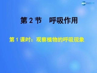 七年级生物上册 第5章 第2节 呼吸作用课件1 北师大版教材