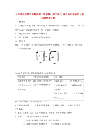2012届中考化学要点专项复习教案22